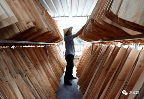 沭陽桑墟鎮(zhèn)板材鋪就富民路,人均月工資收入達6000元