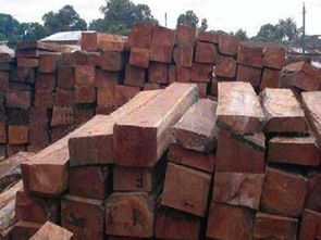 優質的桃花芯木當選超景木制品 桃花芯木皮