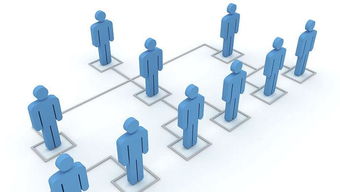 在上海,這個(gè)新組建的區(qū)人大法制委是做什么的