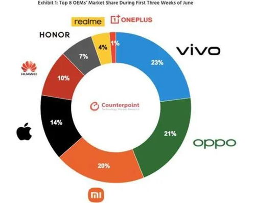 藍綠廠包攬國內手機銷量前二