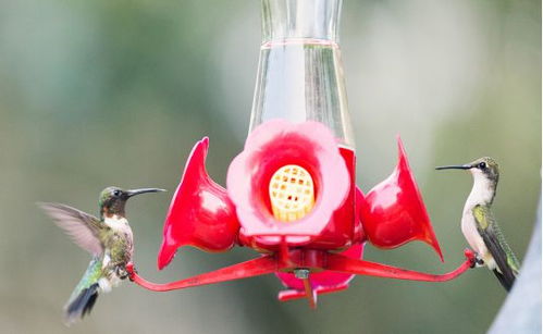 亞馬遜銷量懸崖式下降 20天銷售2萬件,冷門類產品也有大市場