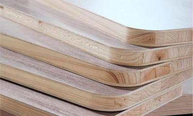 偉業生態板榮膺2023年生態板行業十大品牌 門類銷售再創佳績